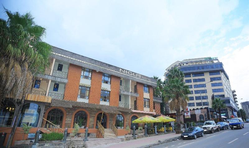 Nigus Boutique Hotel image