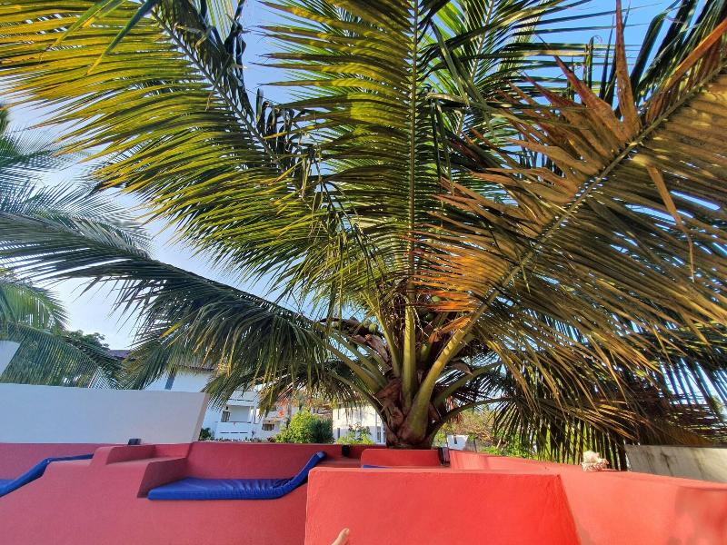 Baridi Villa image