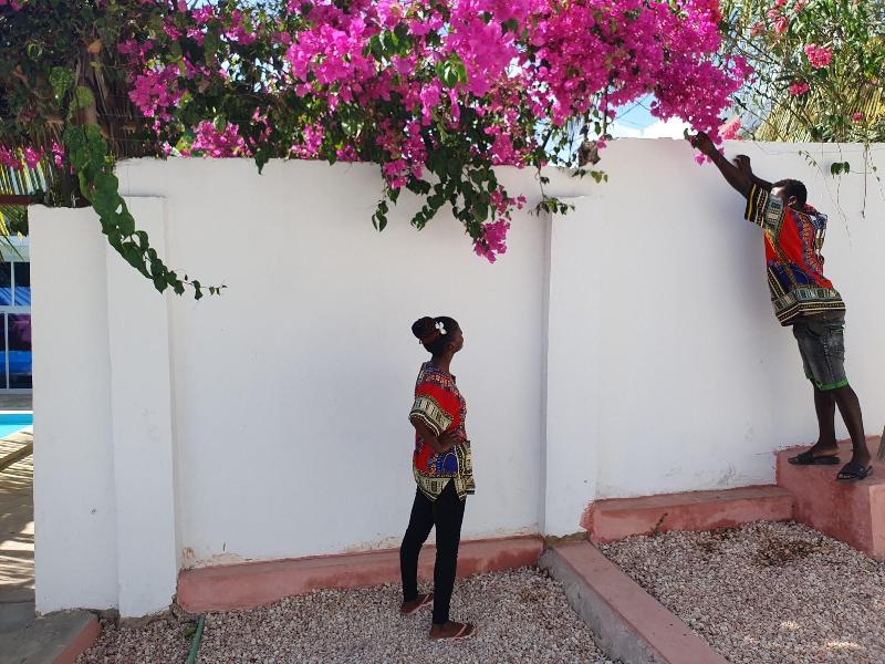 Baridi Villa image