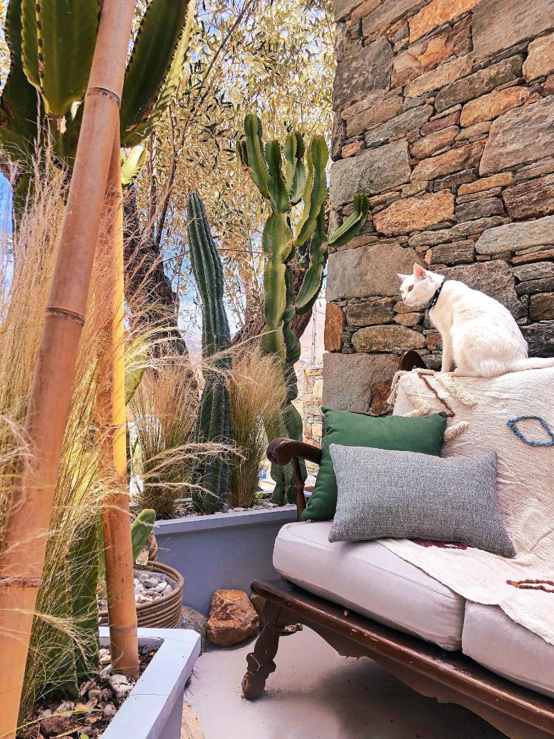 Pino di Loto Boutique Bed & Breakfast image