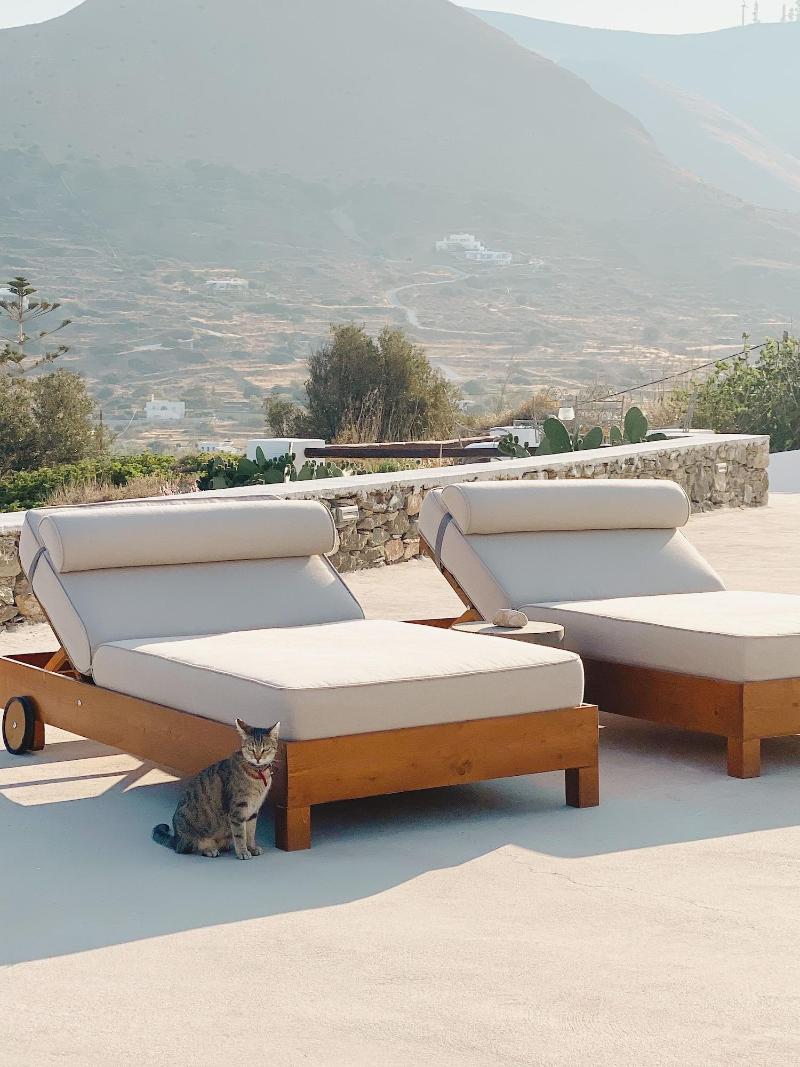 Pino di Loto Boutique Bed & Breakfast image