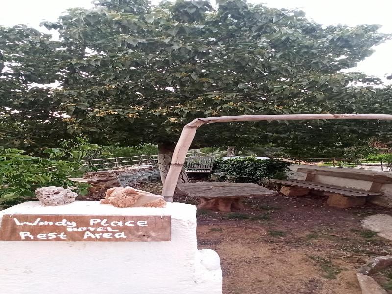 Windy Place image