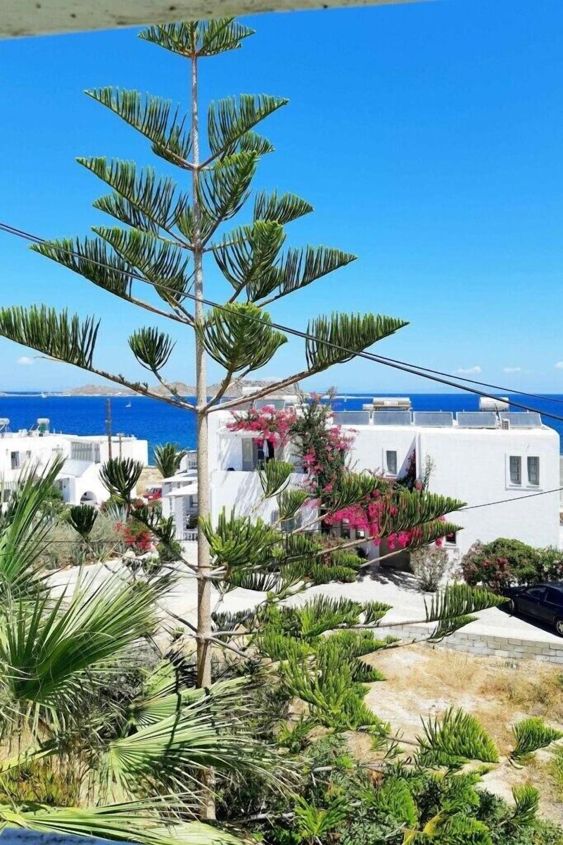 Fotilia Hotel image
