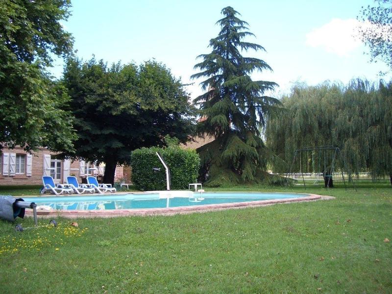 Le Platane image
