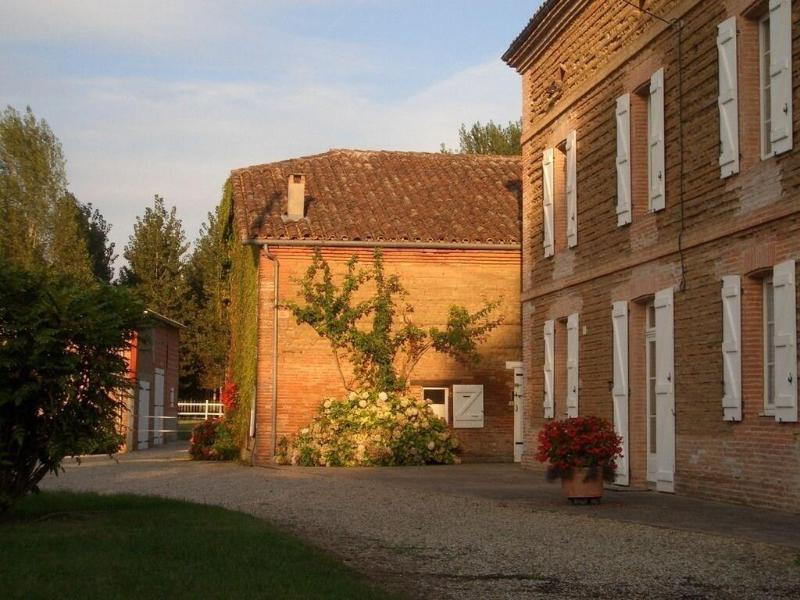 Le Platane image