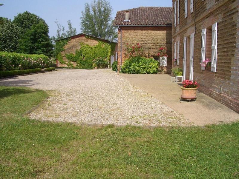 Le Platane image