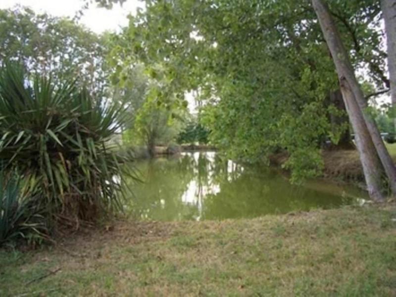 Le Platane image