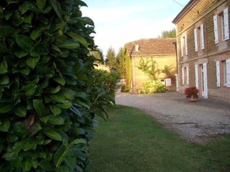 Le Platane image