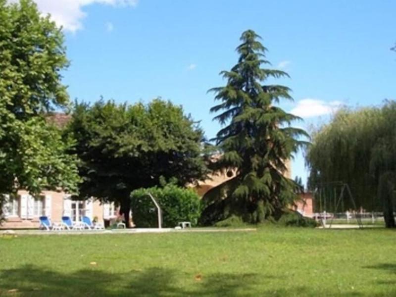 Le Platane image