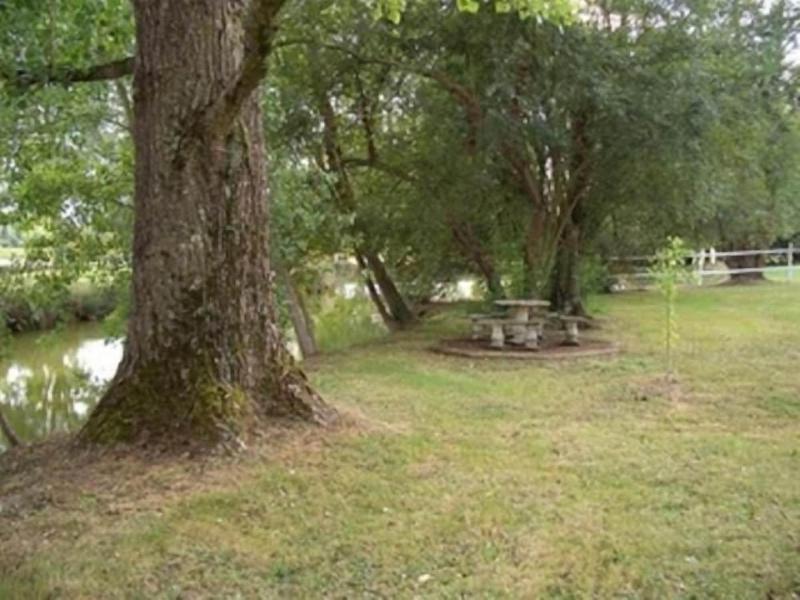 Le Platane image