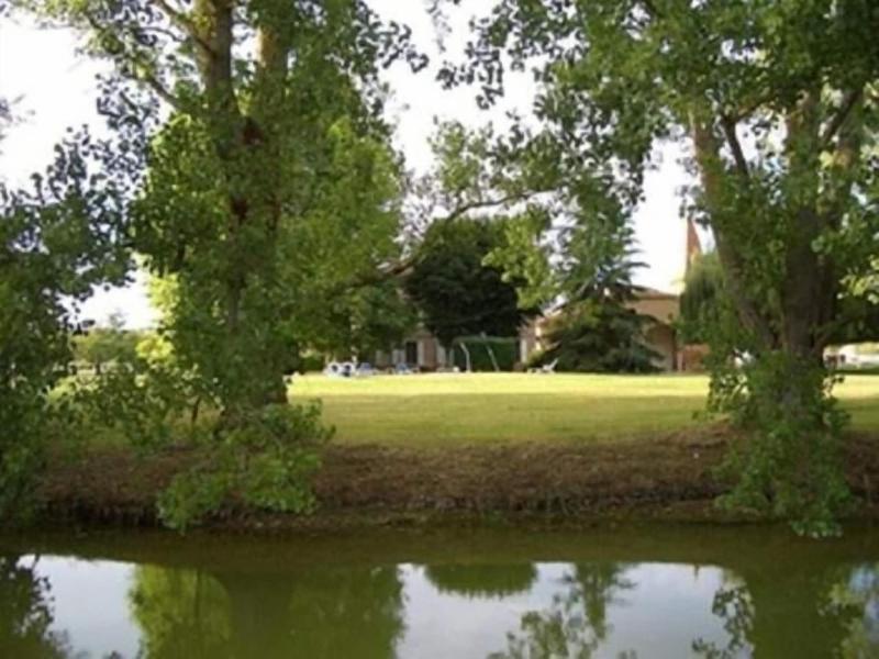 Le Platane image