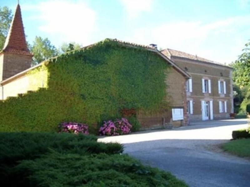 Le Platane image