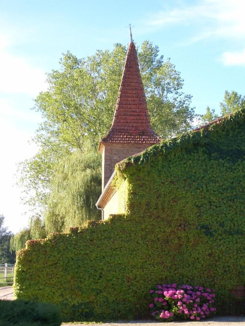 Le Platane image