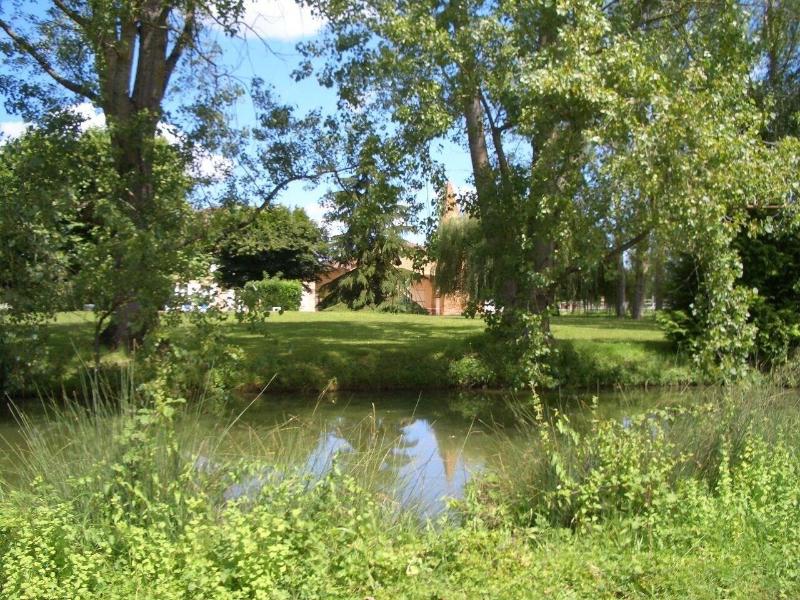 Le Platane image