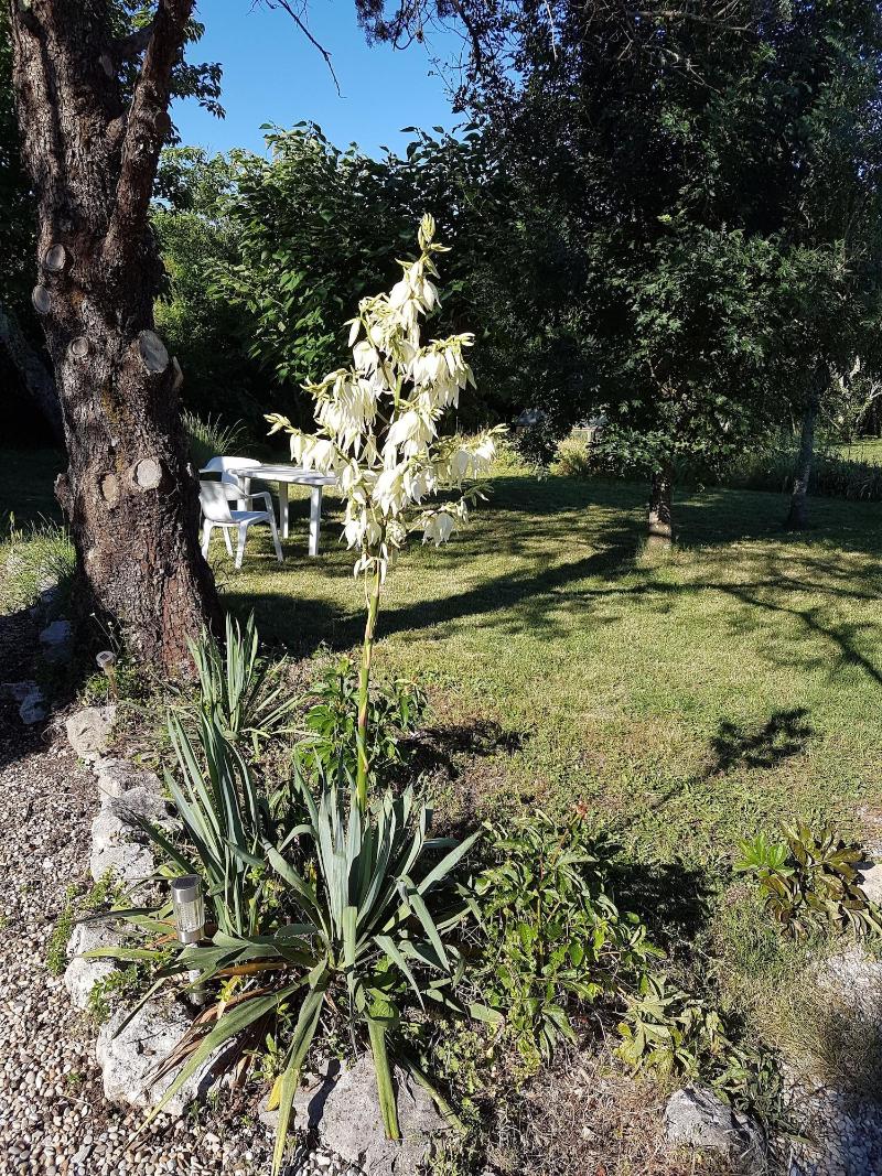 L' Heureux Pot — photo 3