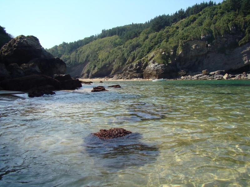 Bekale image