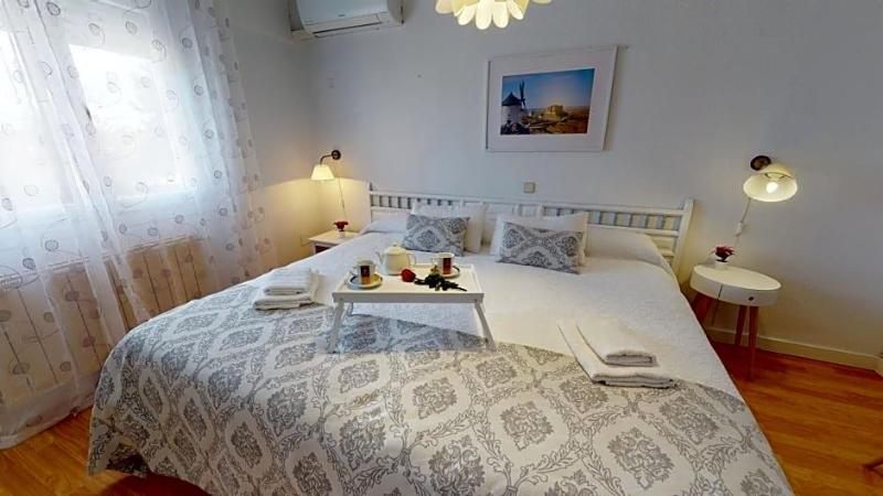 Hotel Consuegra image