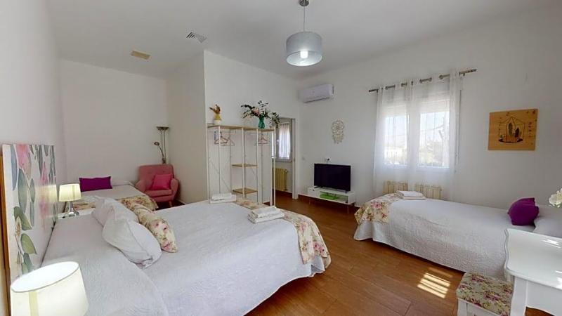 Hotel Consuegra image