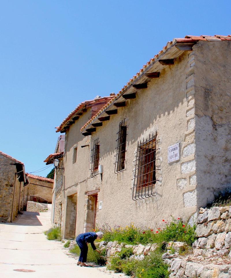 Casa Yolanda image