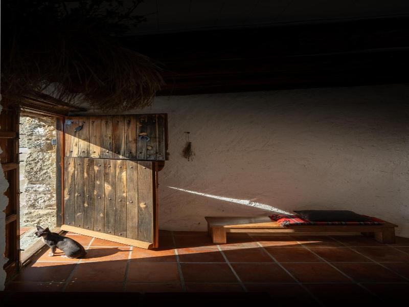 Casa Yolanda image