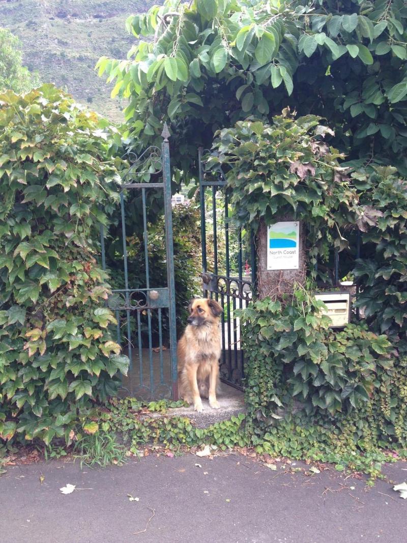 North Coast Guest House image