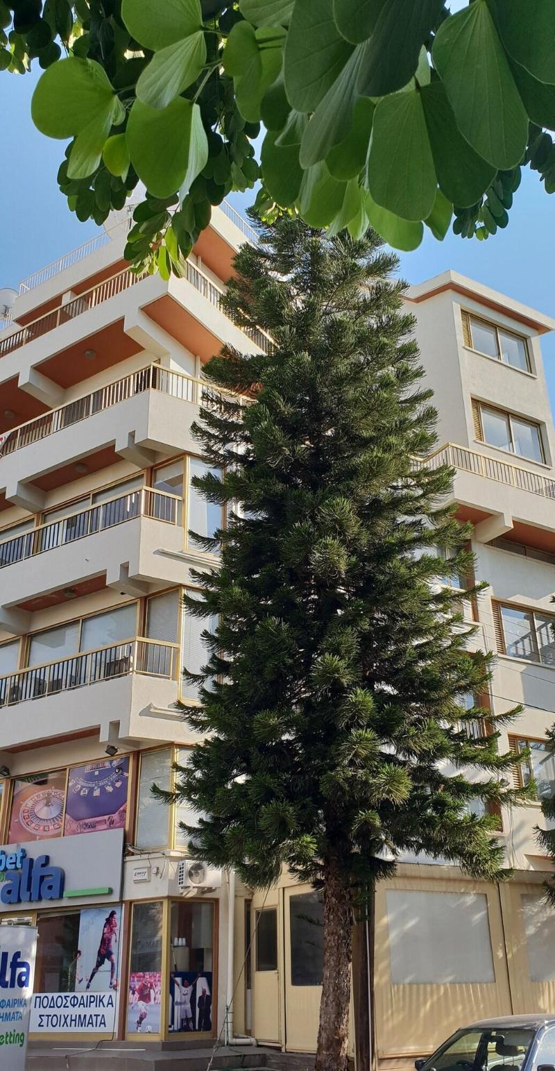 NEX Hostel image