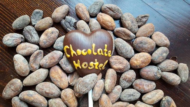 Chocolate Hostel