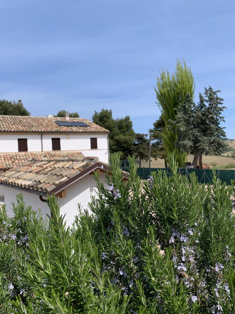 Naturaverde Country House image