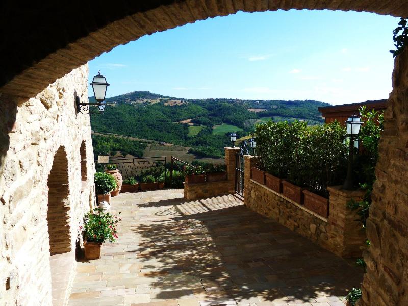 Aethos Saragano image