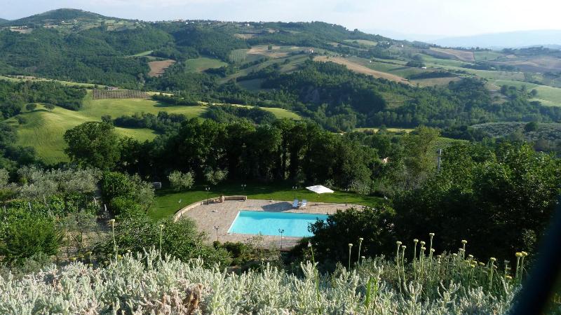 Aethos Saragano image