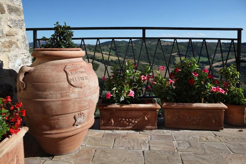 Aethos Saragano image