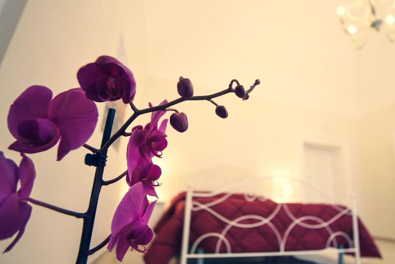 Kapsott B&B image