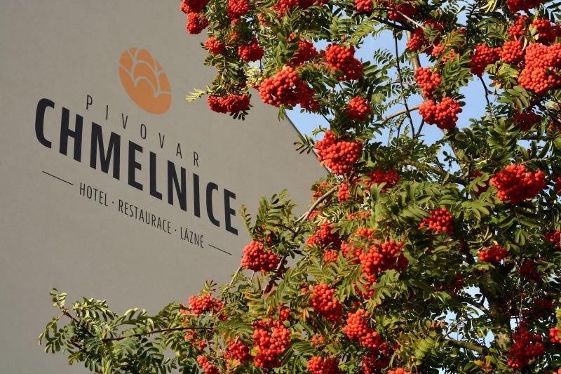 Hotel Chmelnice image