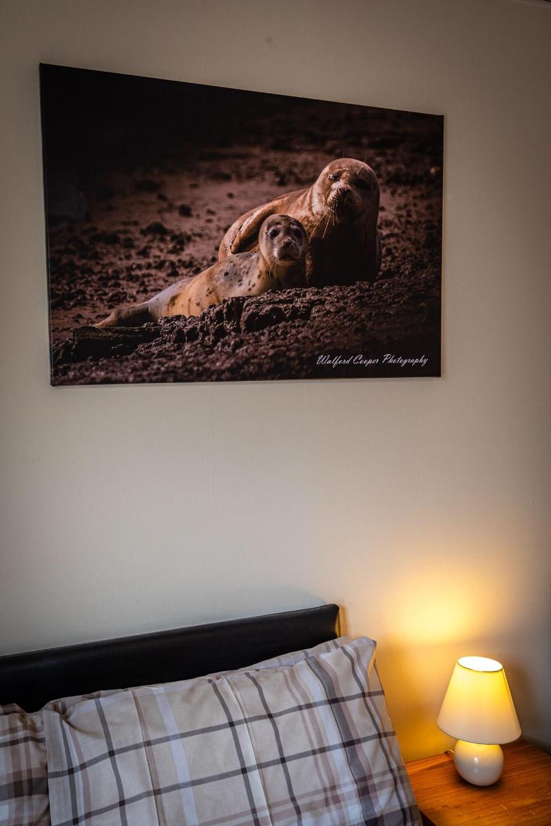 Aarondale Guest House image