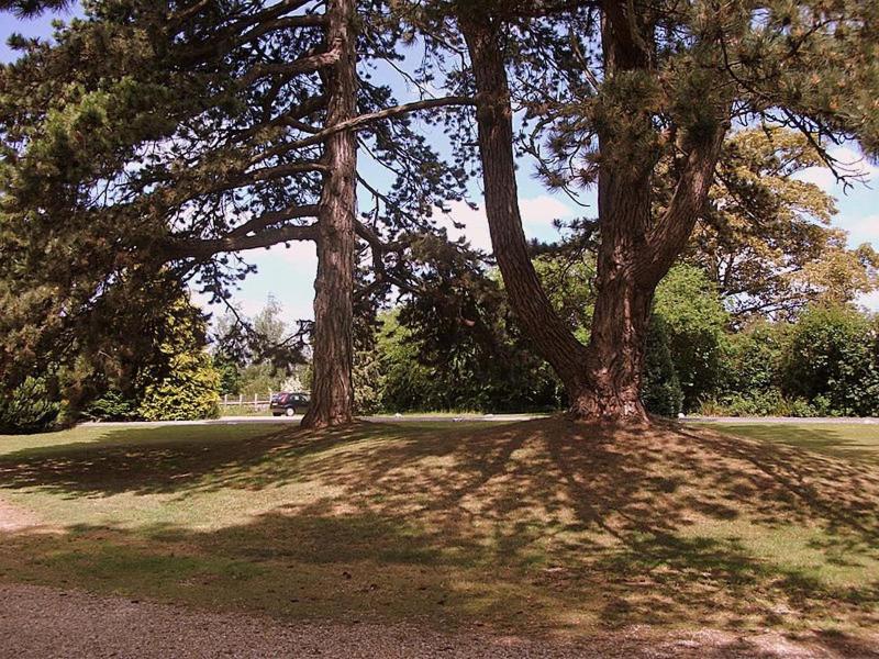 Fieldways image