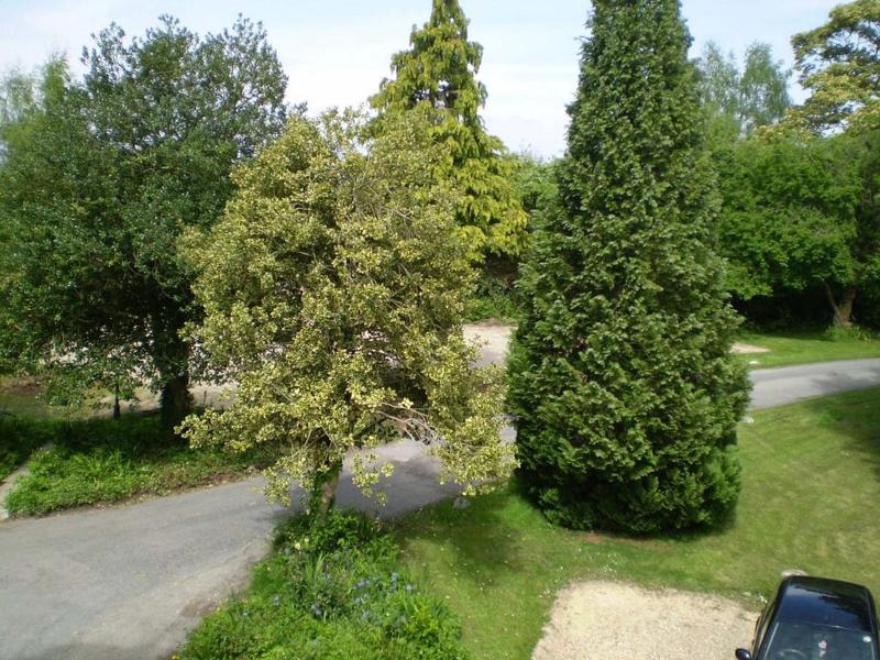 Fieldways image