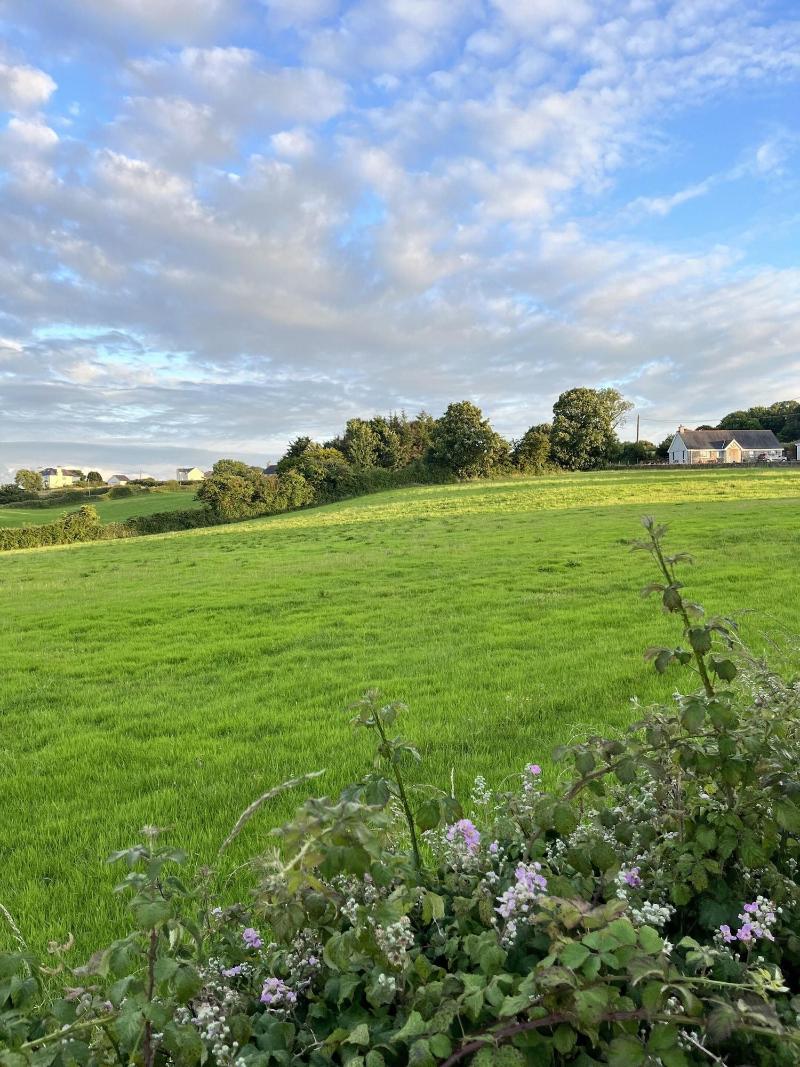 Ty Dderw Country Inn image