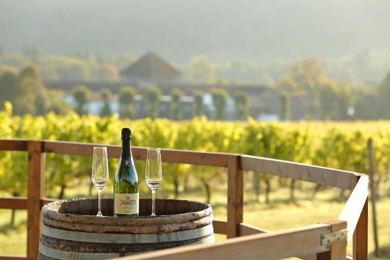 Denbies Vineyard Hotel image