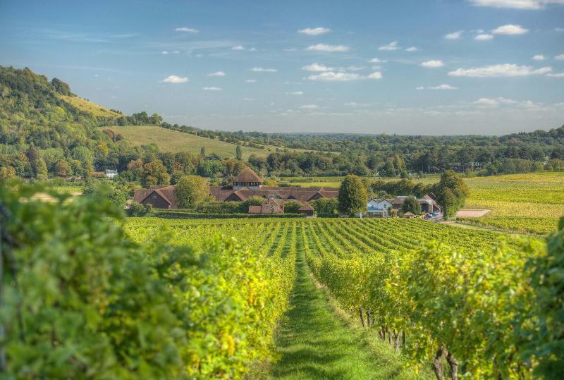 Denbies Vineyard Hotel image