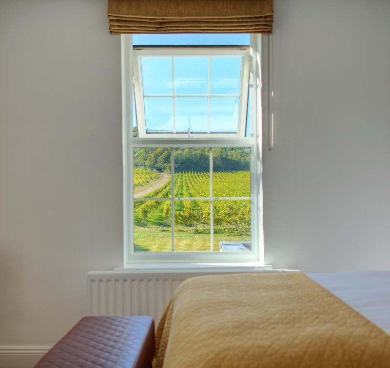 Denbies Vineyard Hotel image