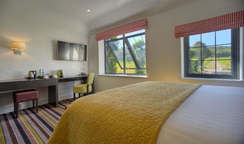 Denbies Vineyard Hotel image