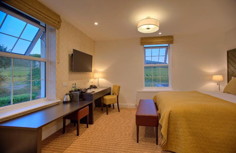 Denbies Vineyard Hotel image