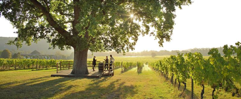 Denbies Vineyard Hotel image