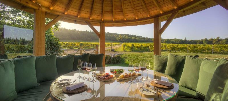 Denbies Vineyard Hotel image