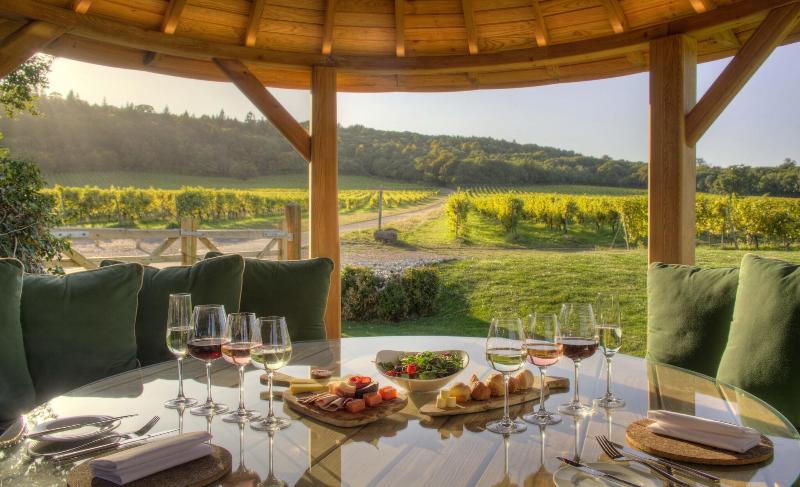 Denbies Vineyard Hotel image