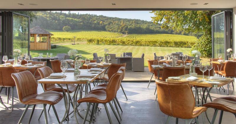 Denbies Vineyard Hotel image