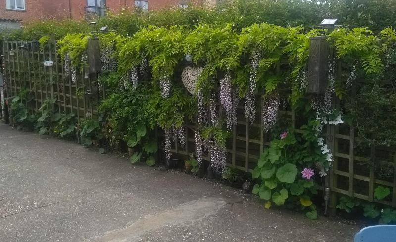 Thornwell Villa — photo 3