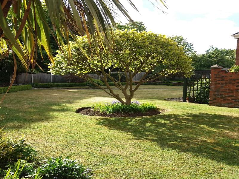 Wentvale image