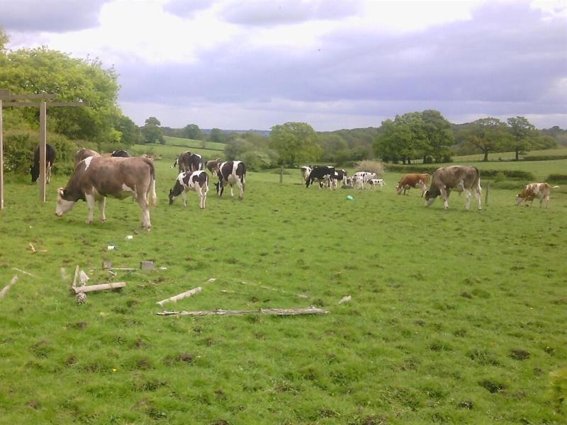 Beoley Lodge image