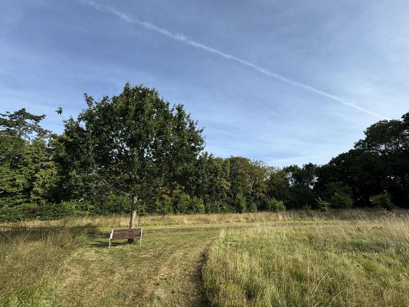 Hookwood Lodge image